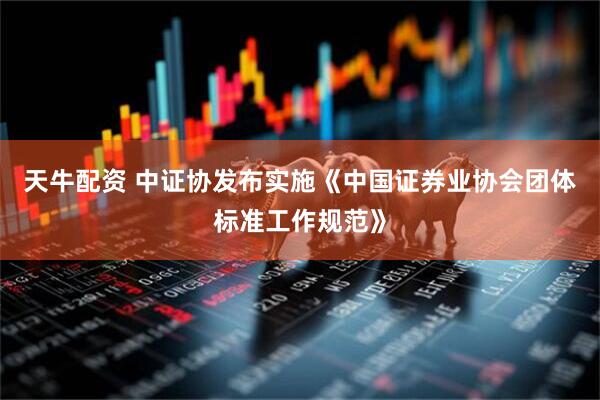 天牛配资 中证协发布实施《中国证券业协会团体标准工作规范》