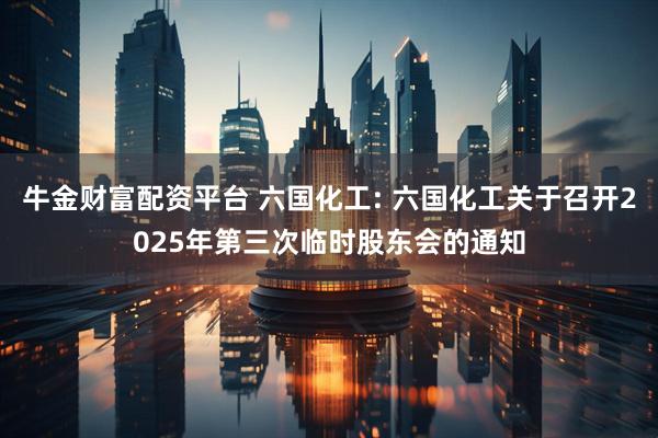 牛金财富配资平台 六国化工: 六国化工关于召开2025年第三次临时股东会的通知